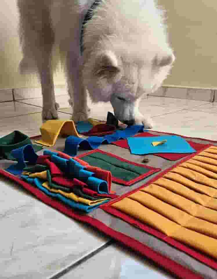 Tapete interativo Pet Cachorro e Gato enriquecimento ambiental