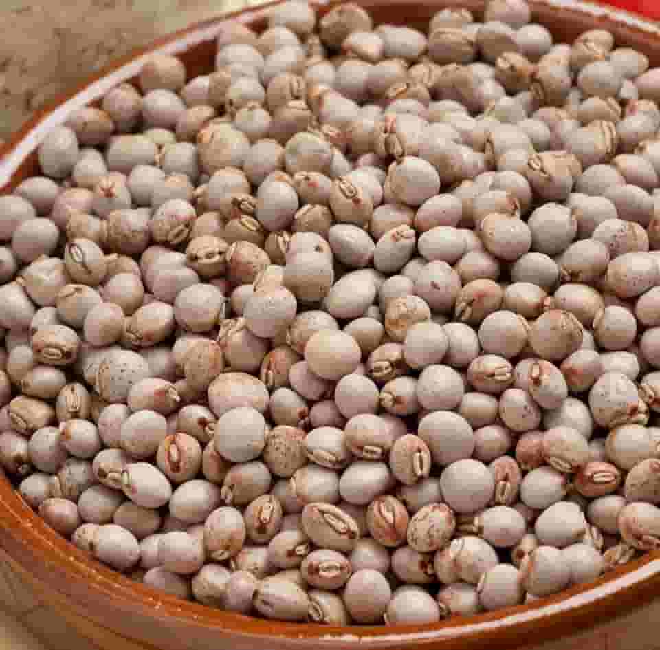 Feijão Andu para Consumo,Plantio,Natural do Norte de Minas Gerais 500g