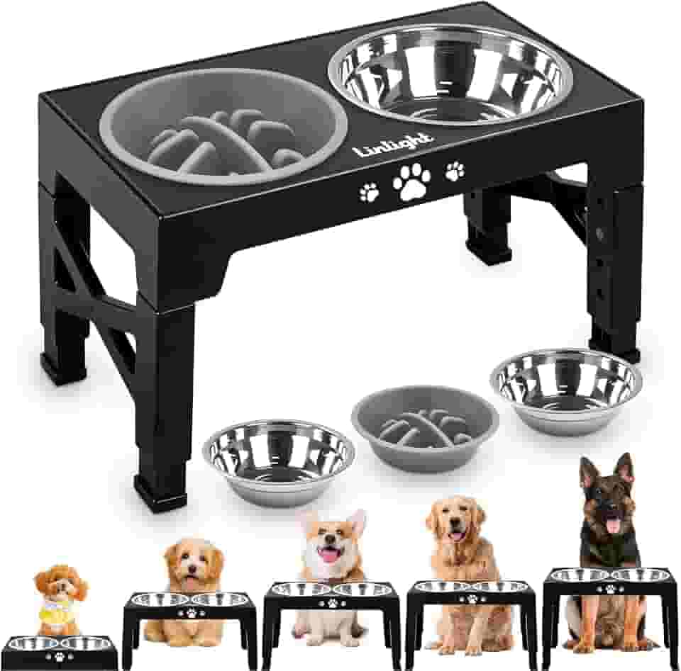 Comedouro Elevado Duplo para Cães Gatos Pet inox com Lento Cor Preto