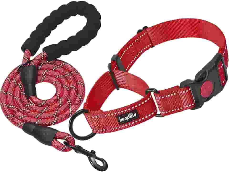 Coleira para cachorro Haapaw 2 pacotes com coleiras refletoras de liberação rápida para cães pequenos, médios e grandeshaapaw collar+leash, M neck 14"-16.5" vermelho