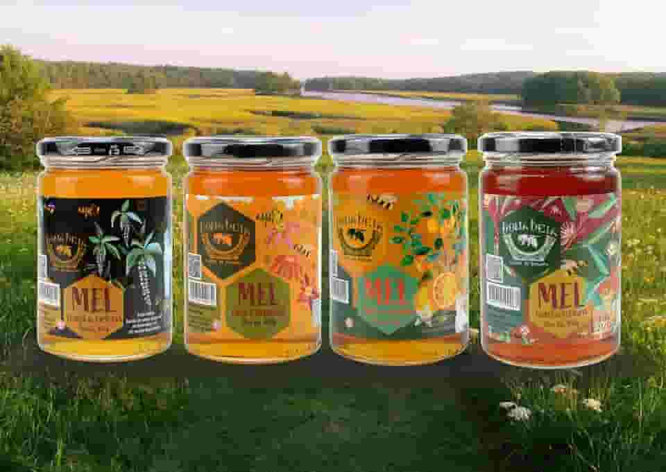 Kit Completo 4 Méis DonaBeia 450g – Silvestre, Eucalipto, Cipó-Uva e Laranjeira | 100% Puro, Natural e Artesanal