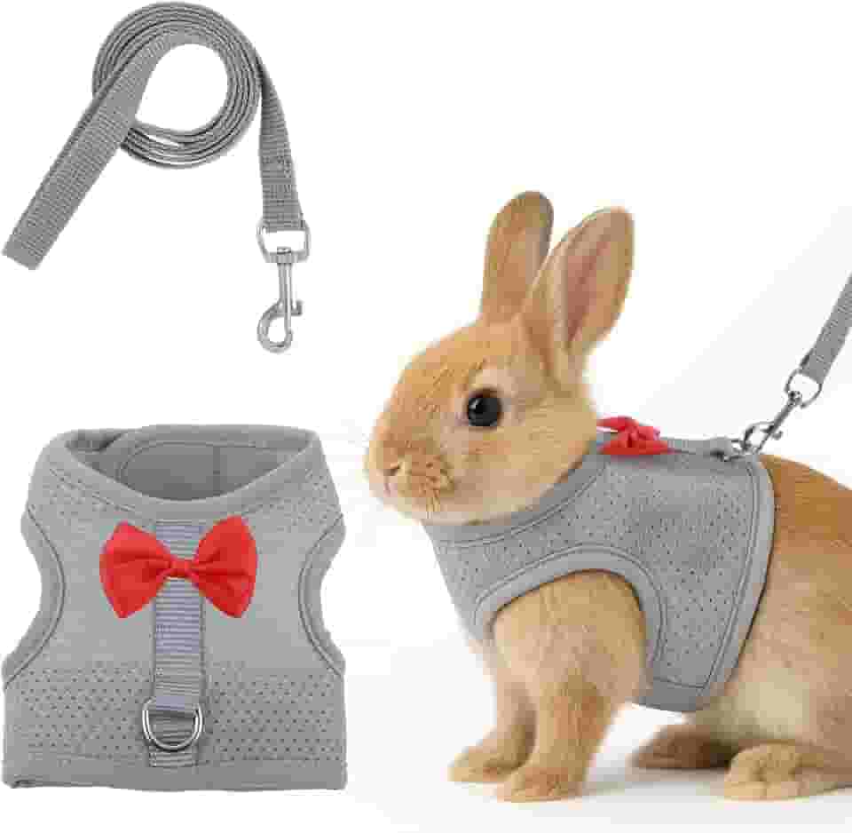 Conjunto de arnês e coleira de coelho com laço fofo, colete de malha macia para coelhos, colete ajustável para coelhos, acessórios para caminhadas de coelhos (cinza)