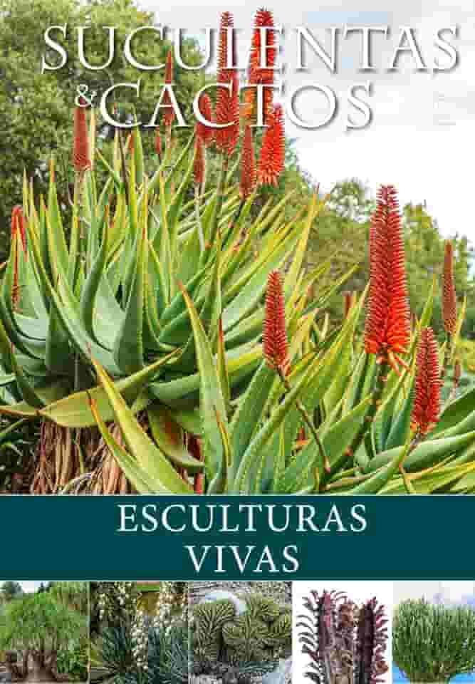 Suculentas e Cactos: Esculturas Vivas