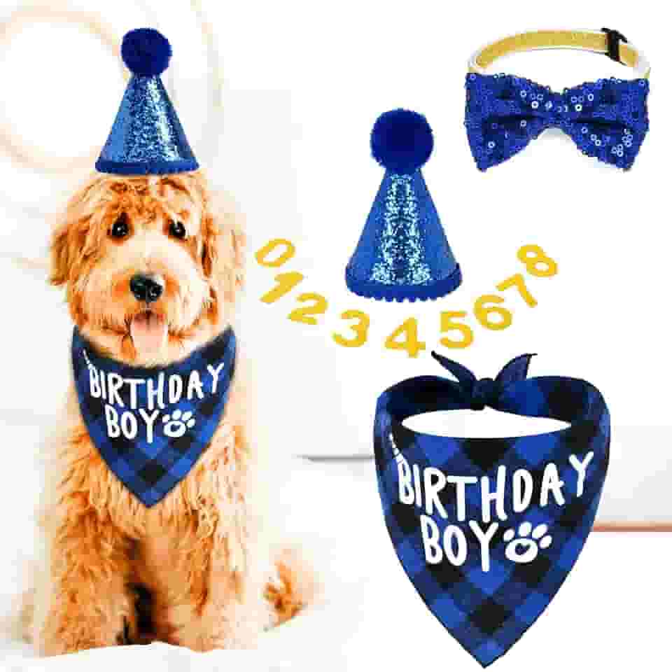 Artigos de festa de aniversário para cães (GG azul), bandana de aniversário inclui chapéu, bandana, gravata borboleta, números