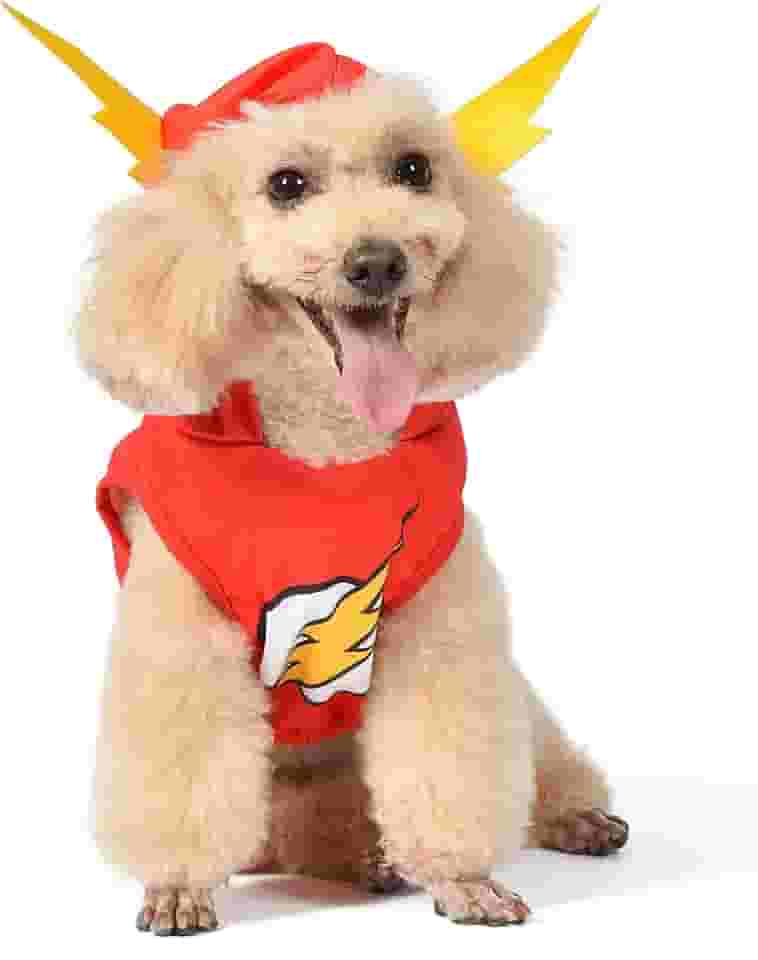 DC Comics Fantasia De Cachorro Dc Superhero The Flash Halloween – Médio – | Fantasia De Halloween Super-Herói Dc Para Cães Fantasias Engraçadas Para Cães | Fantasia Oficial Licenciada Dc Dog Halloween