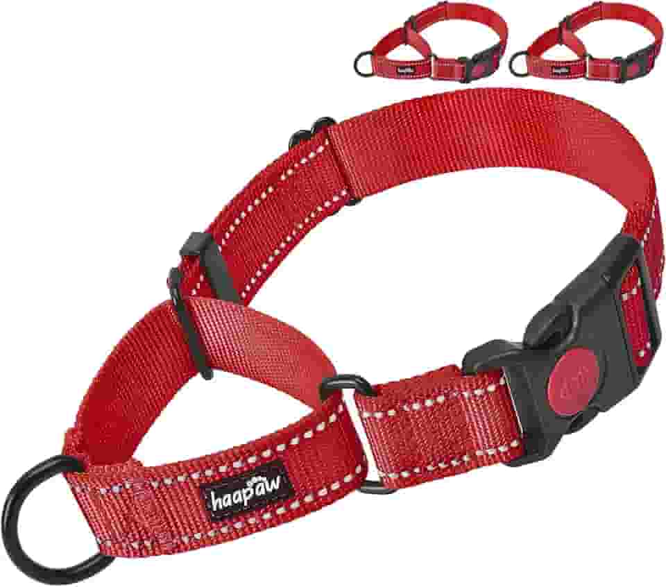 Coleira para cachorro Haapaw 2 pacotes com coleiras refletoras de liberação rápida para cães pequenos, médios e grandeshaapaw collar+collar, L neck 17"-21" vermelho