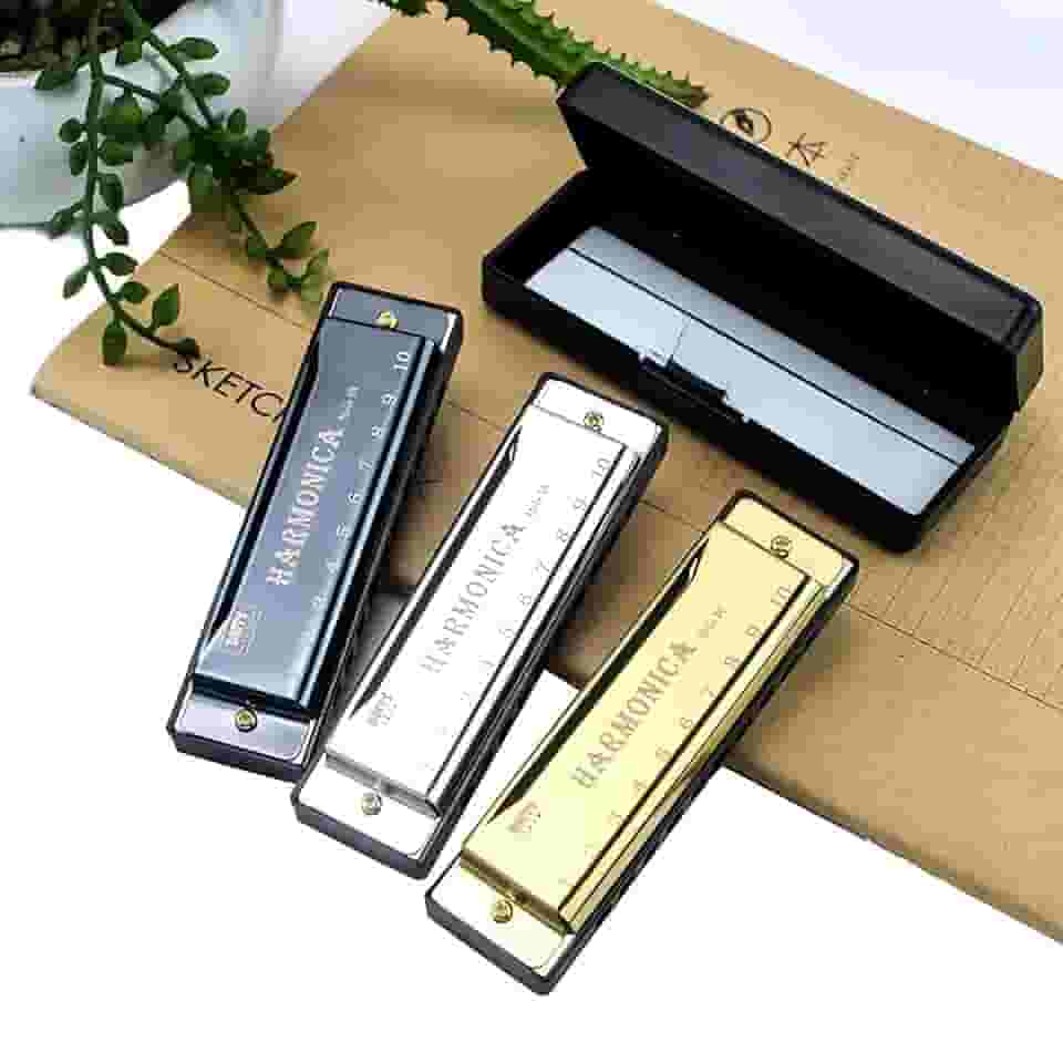 Gaita de 10 furos com estojo, instrumento musical de órgão de boca em C Key Blues para iniciantes tocando gaita como presente (ouro)