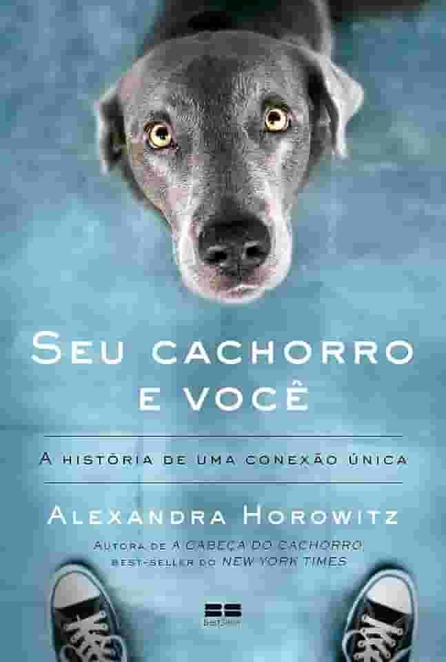 Seu cachorro e você: A história de uma conexão única
