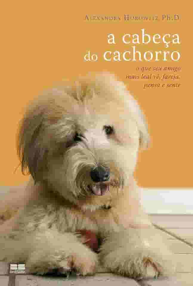 A cabeça do cachorro