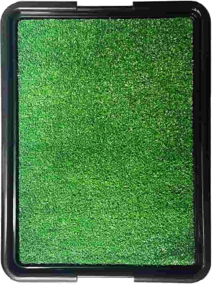 Brinqpet Sanitário Canino Banheiro Para Cães Com Grama Eco Pet, Dispensa Tapetes Descartáveis, Perfeito para Casas e Apartamentos, Fácil Limpeza, Verde