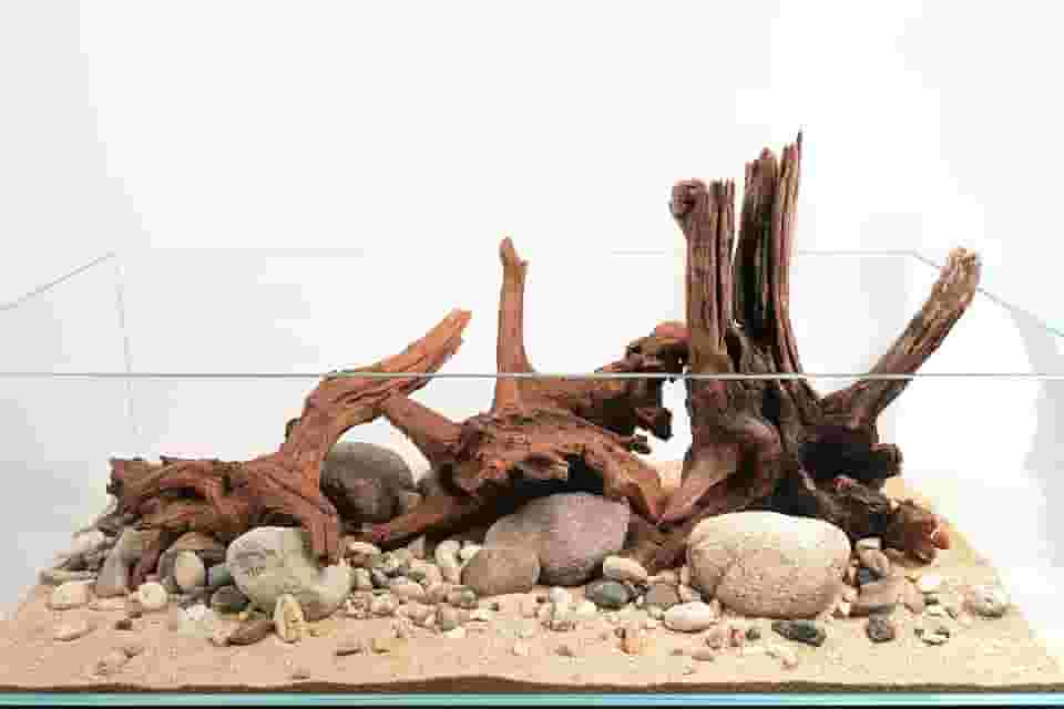 LANDEN Panna Natural Driftwood para Decoração de Aquário Tanque de Peixes de Água Doce (30-35 cm) 4 peças Terrários Vivariums Caixas de Répteis e Anfíbios Lagarto Barbudo Tartaruga Várias Formas