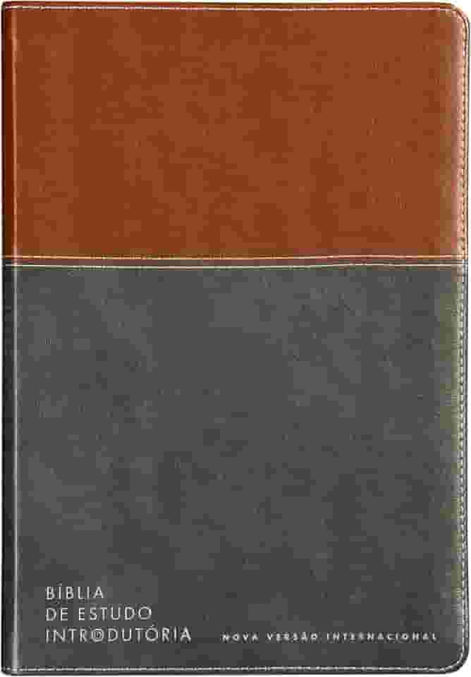 Bíblia de estudo introdutória, NVI, Couro-soft marrom e cinza chumbo, Leitura Perfeita