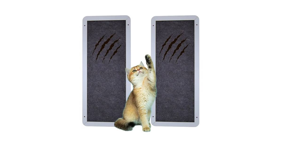 Arranhadores de Chão Para Gatos Reviews: Qual o Ideal?