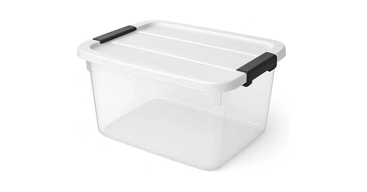 Caixas Organizadoras Transparentes Para Ver O Conteúdo: 10 Modelos