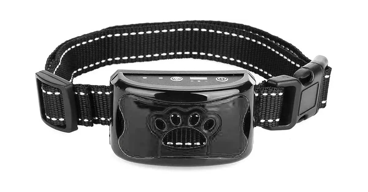 Coleiras Para Adestramento de Cães Reviews: Eletrônica ou Manual?