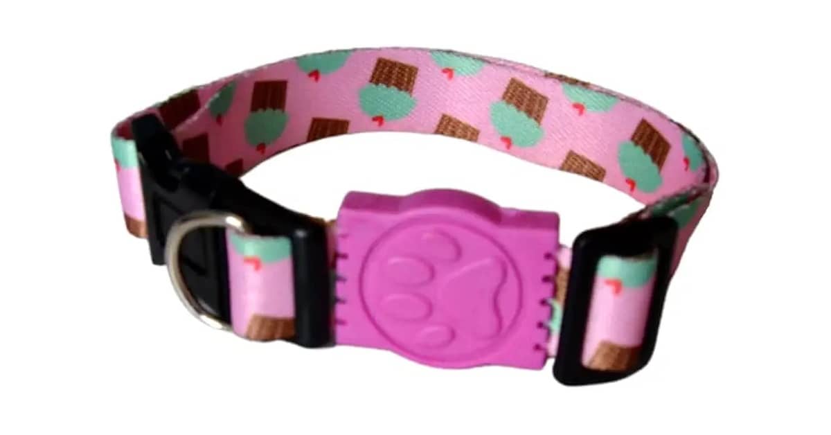 Coleiras Para Cachorro Filhote Reviews: O Guia Certo