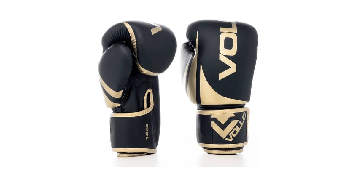 Luvas de Boxe de 14oz Reviews: O Melhor Custo x Benefício