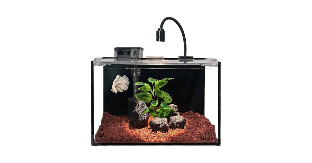 Melhor Aquário para iniciantes: Seu Primeiro Lar para Peixes
