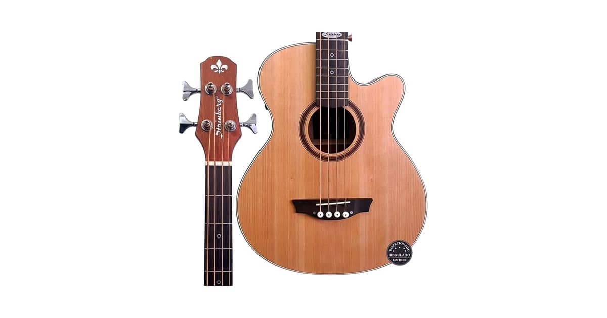 Melhor Baixolão: Guia Definitivo para Músicos