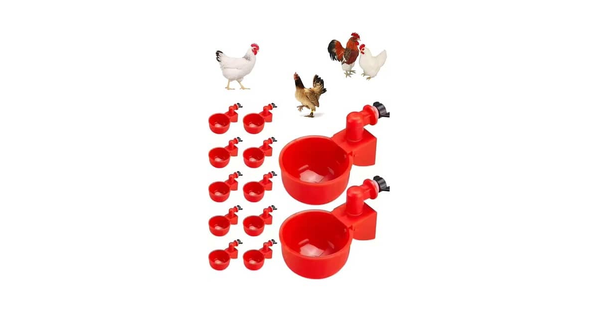 Melhor Bebedouro para Galinha: Controle Automático Essencial