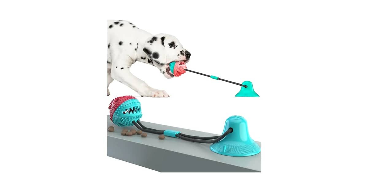 Melhor Brinquedo para Border Collie: Escolha Inteligente!
