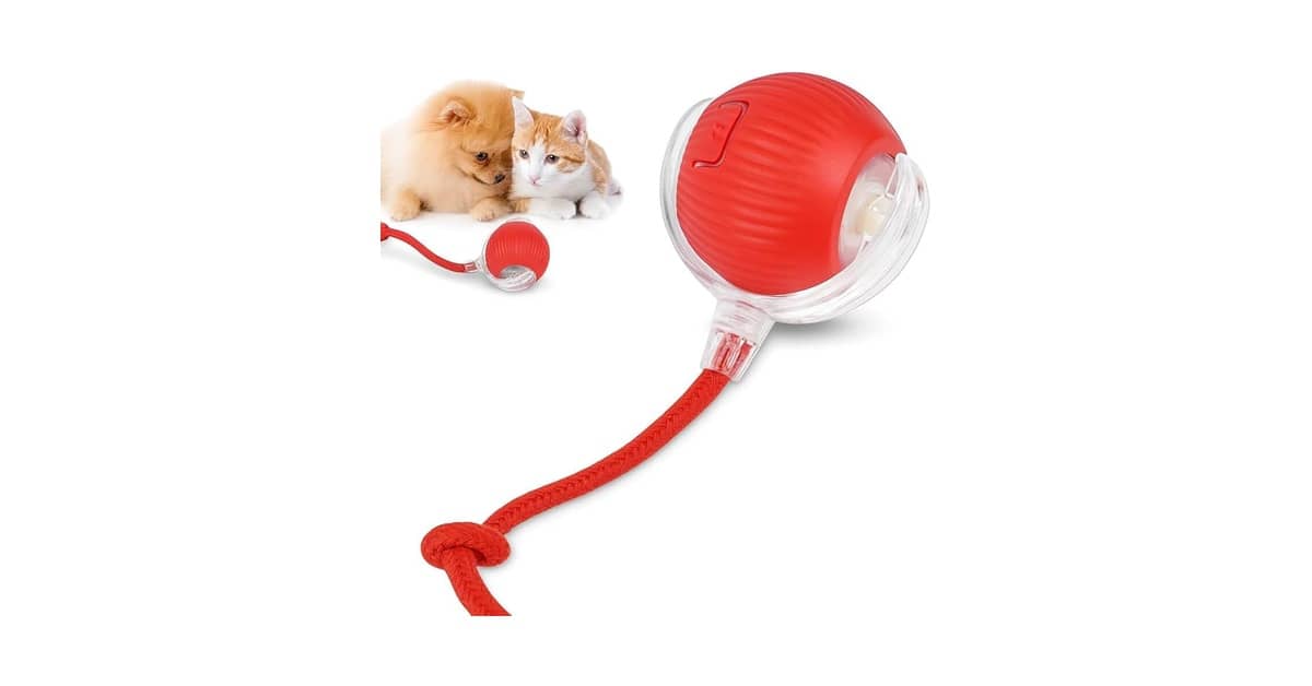 Melhor Brinquedo para Cachorro: Durabilidade e Diversão Garantida