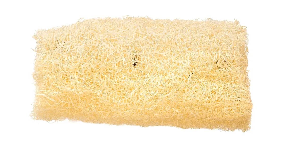 Melhor Bucha Vegetal: 10 Opções para Esfoliação