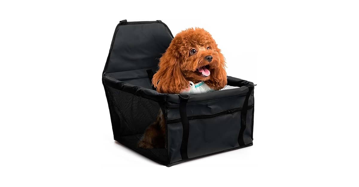 Melhor Cadeirinha para Cachorro: Guia Completo 2024
