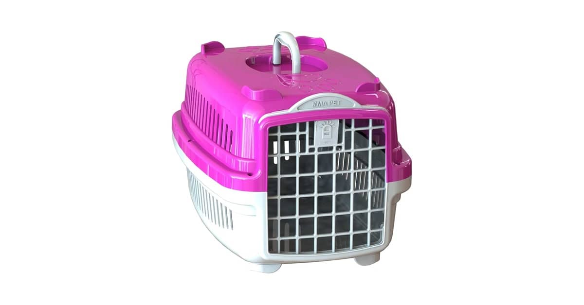 Melhor Caixa de Transporte para Gatos: Guia Essencial de Escolha