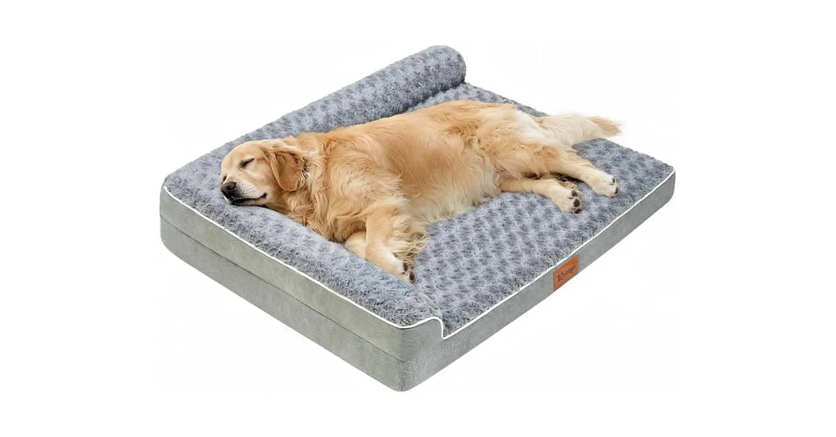 Melhor Cama para Cachorro Idoso: Conforto e Suporte!