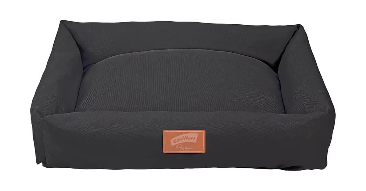 Melhor Cama para Cachorro: 10 Modelos com Alta Durabilidade