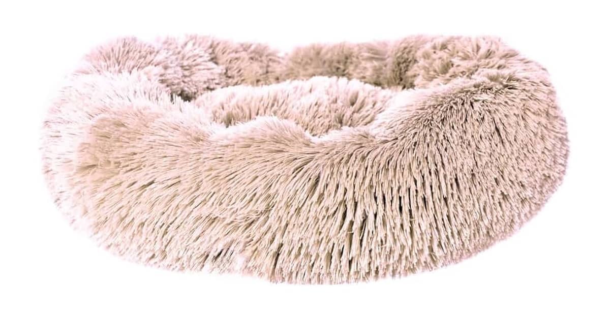 Melhor Cama para Gato: 10 Modelos para Conforto