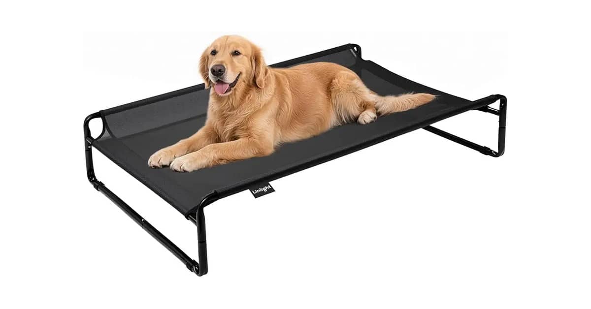 Melhor Cama Suspensa para Cachorro: Guia Definitivo!