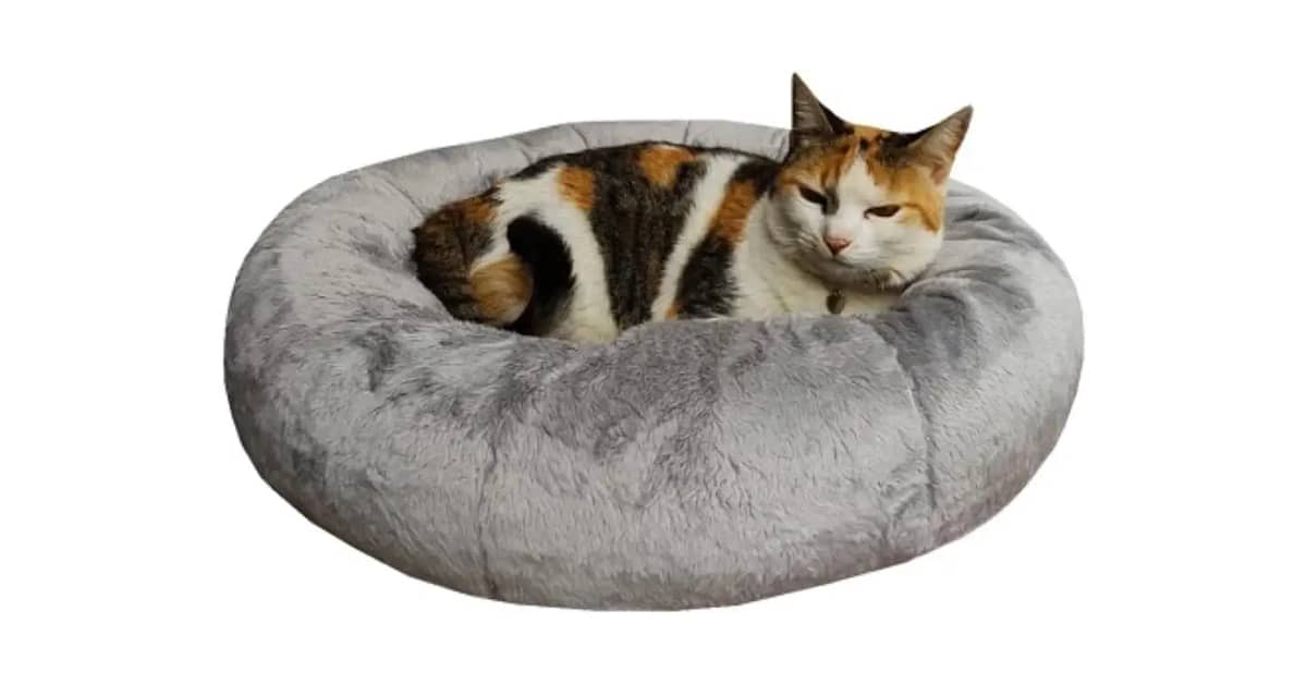 Melhor Caminha para Gatos: Conforto e Segurança