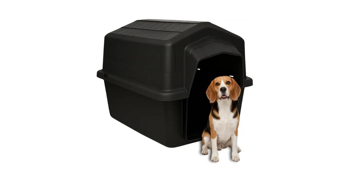 Melhor Casa de Cachorro: Proteção e Conforto para Seu Pet