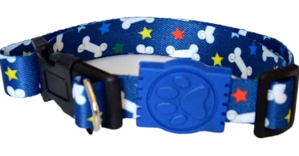 Melhor Coleira Cachorro: Guia Completo para Passeios Seguros