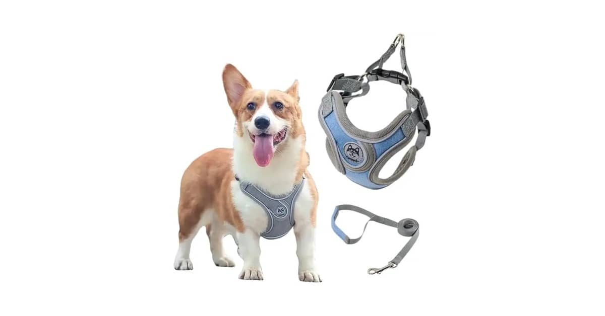 Melhor Coleira para Cachorro que Puxa Muito: Controle Total!