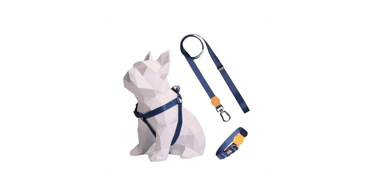 Melhor Coleira para Cachorro Salsicha: Conforto e Segurança!