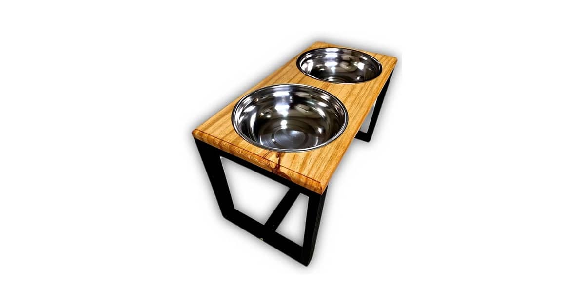 Melhor Comedouro e Bebedouro para Cachorro: Guia Completo