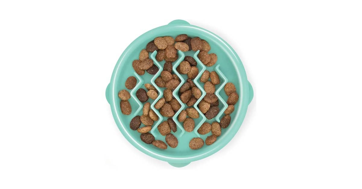 Melhor Comedouro Lento: Guia Essencial para Cães e Gatos