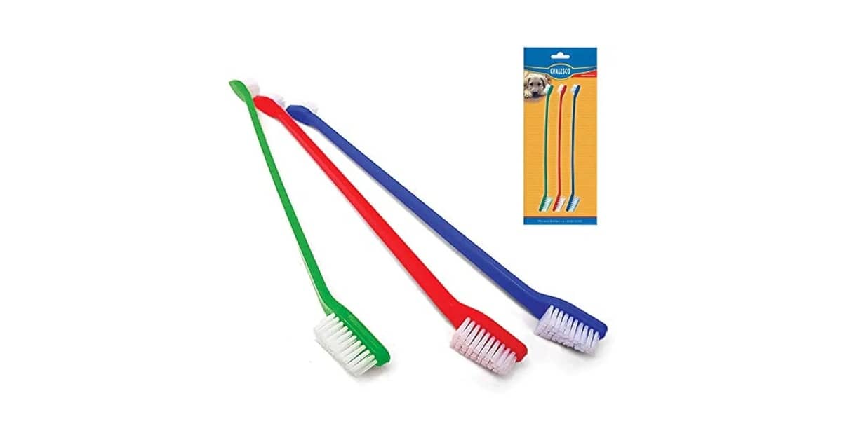 Melhor Escova de Dente para Cachorro: Guia Completo de Higiene Bucal