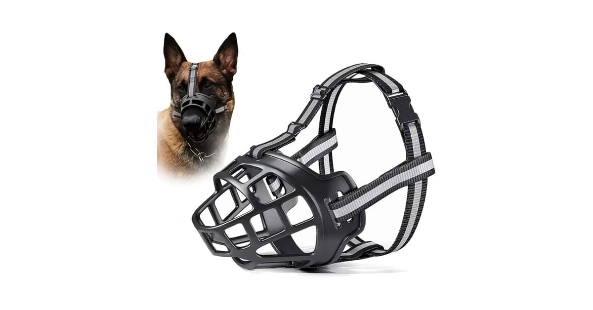 Melhor Focinheira para Cachorro Grande: Segurança e Conforto