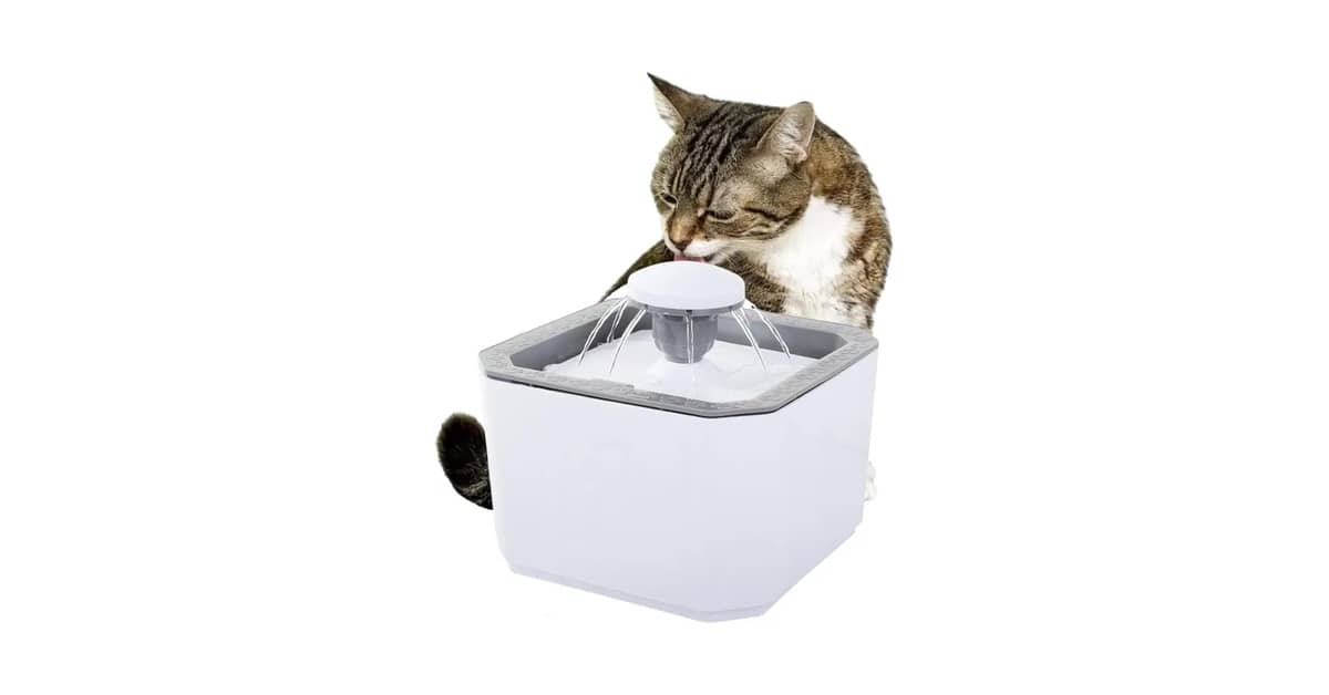 Melhor Fonte de Água Automática para Gato: 10 Modelos com Filtro de Carvão