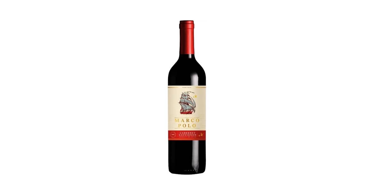 Melhor Marca de Vinho Chileno: Guia para Escolher Seu Próximo Garrafa
