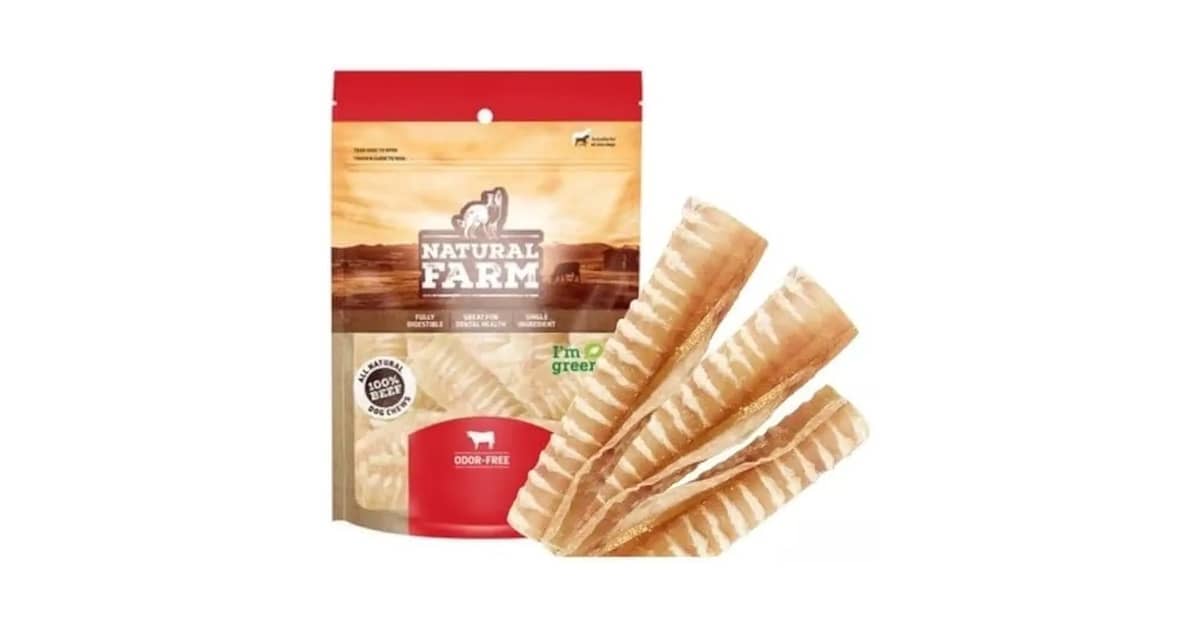 Melhor Osso para Limpar dente de Cachorro: Guia Definitivo