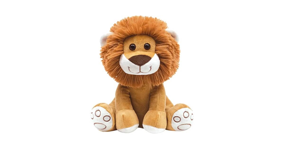 Melhor Película: Guia Completo Para Encontrar a Ideal