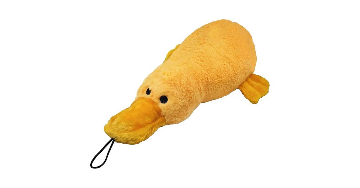 Melhor Pelucia para Cachorro: Guia Completo Para Escolher