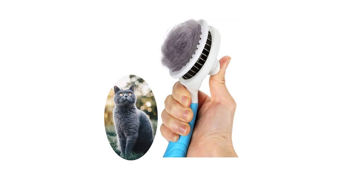 Melhor Pente para Gato: Guia Completo para Pelos Saudáveis
