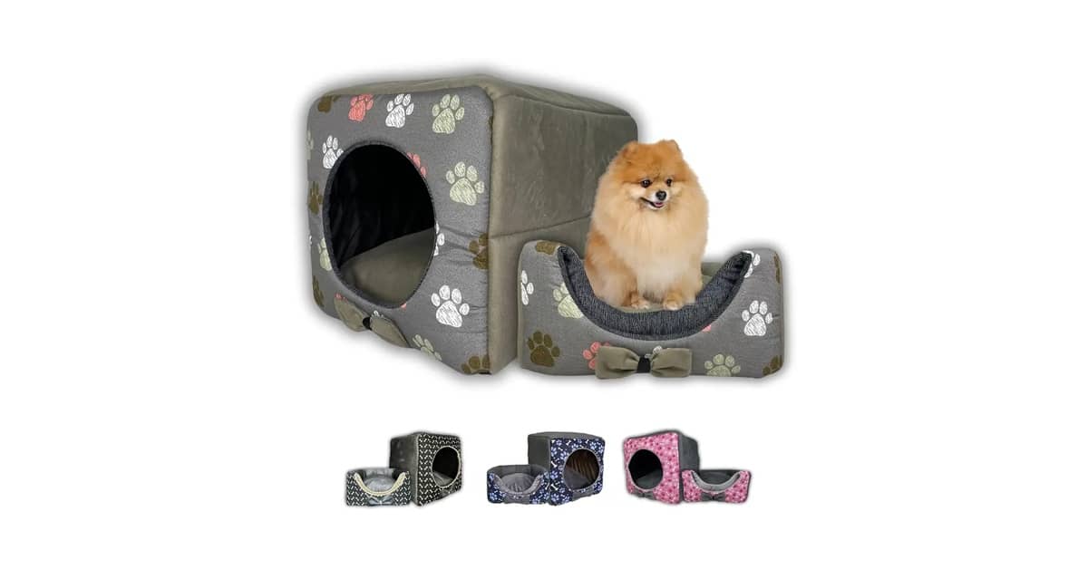 Melhor Piso para Casa com Cachorro: Guia Completo