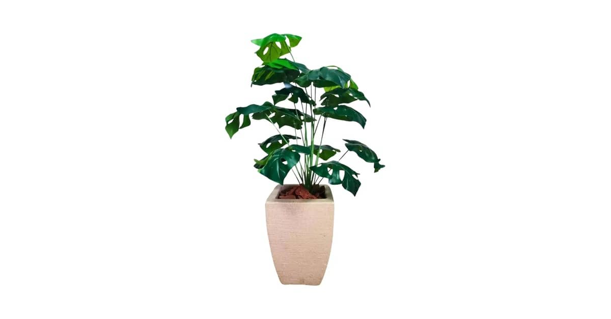 Melhor Planta Artificial para Sala: Toque Realista e Duradouro